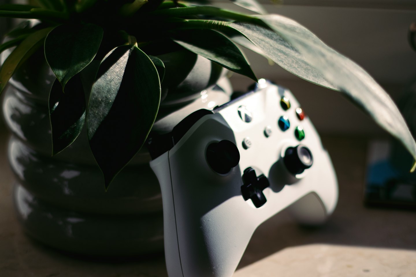 White Xbox controller among green plant leaves.