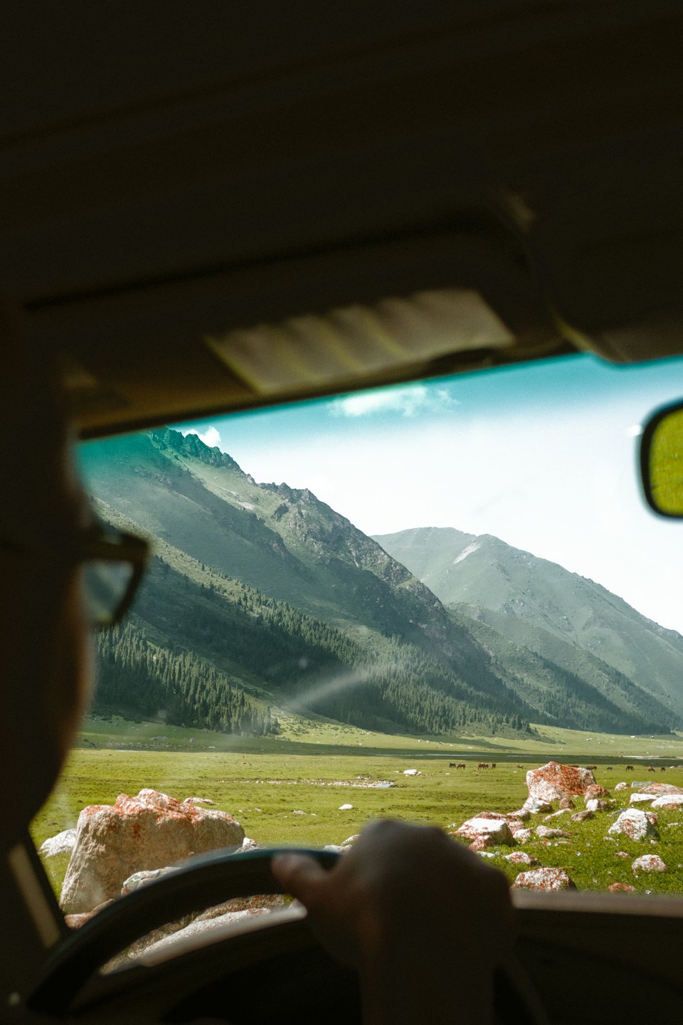 Driver steers a car past horses grazing in green mountains.